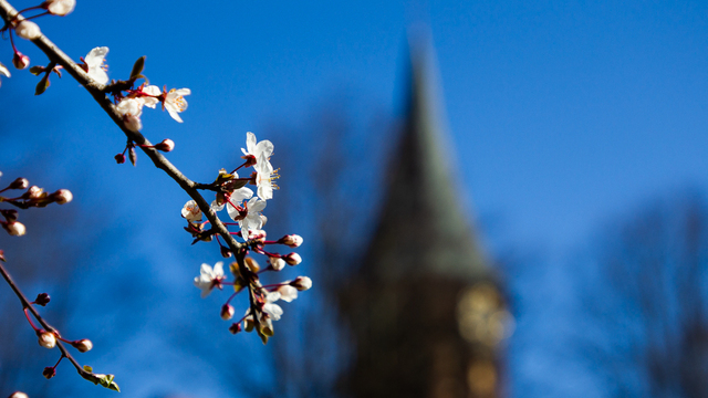 В Калининграде побит суточный температурный рекорд годовой давности  