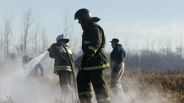 В Калининградской области пожарные 44 раза за сутки выезжали на палы травы  
