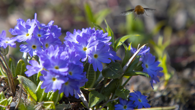 Синоптики рассказали о погоде в Калининграде на выходные