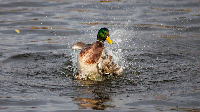 Синоптики рассказали о погоде в Калининграде на неделю