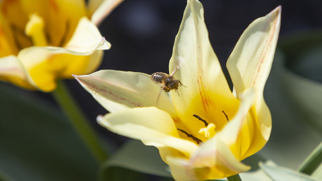 Синоптики рассказали о погоде в Калининграде на выходные