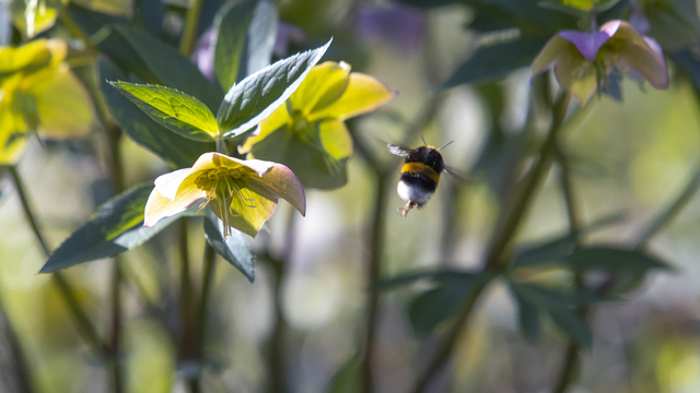 +15 и солнце: погода в Калининграде на неделю