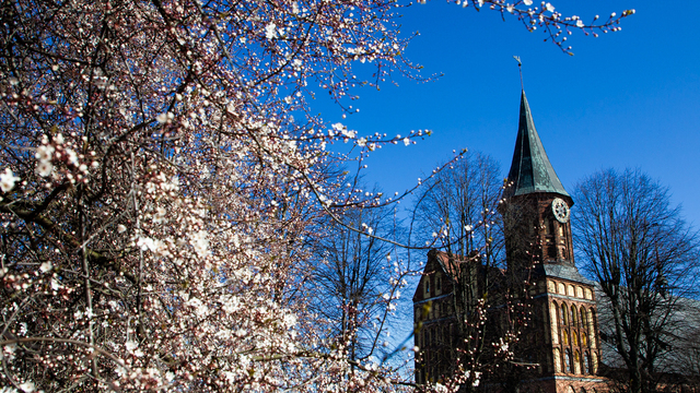 Калининградцев предупредили о возможной грозе