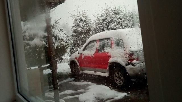 В Калининградской области ночью 12 мая выпал снег (фото)  