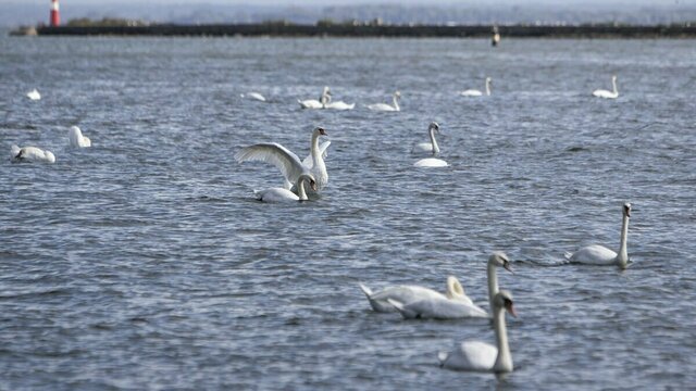 Эксперт рассказал, когда закончится похолодание в Калининграде