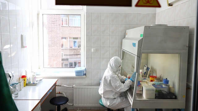 В Калининградской области за сутки коронавирус подтвердился у 33 человек