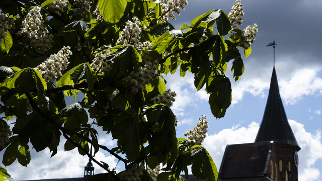 Синоптики рассказали о погоде в Калининграде на рабочую неделю