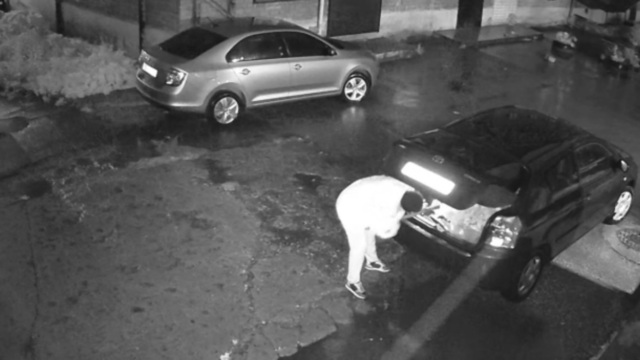 На ул. Куйбышева камеры видеонаблюдения сняли ворующую туи женщину