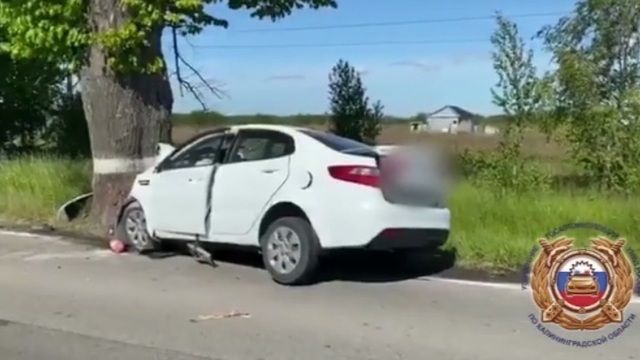 В Гурьевском районе KIA врезался в дерево, водитель погиб