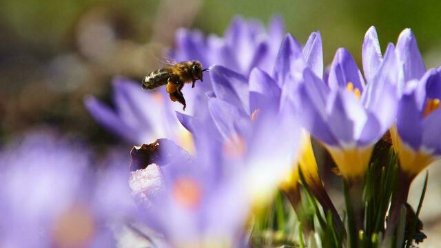Синоптики рассказали о погоде в Калининграде на неделю 