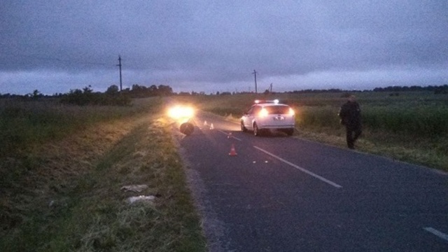 В Правдинском районе скутер съехал в кювет, водитель погиб