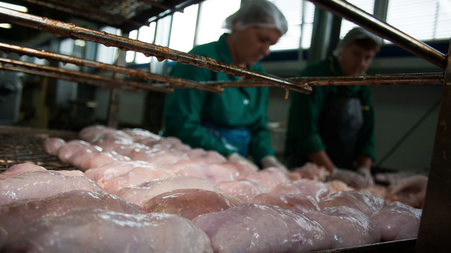 Эксперты Роскачества нашли в курином филе хлор и антибиотики