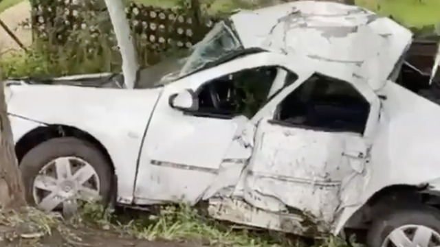 В Полесском районе такси врезалось в дерево, водитель погиб