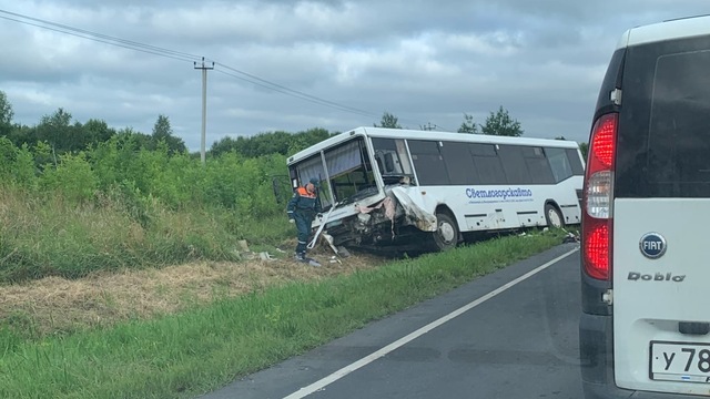 На светлогорской трассе столкнулись рейсовый автобус и легковушка, есть погибший (фото, видео)