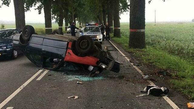 Под Нестеровом легковушка врезалась в дерево, пострадал 19-летний пассажир (фото, видео)