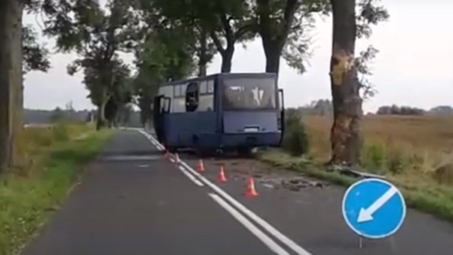  Появилось видео с места ДТП под Правдинском, где автобус с рабочими врезался в дерево