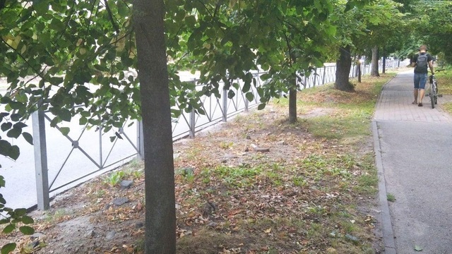 Останутся только у школ: что будет с придорожными заборами, которые раскритиковал Алиханов