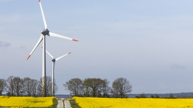 В начале недели в Калининграде порывы ветра усилятся до 16 метров в секунду