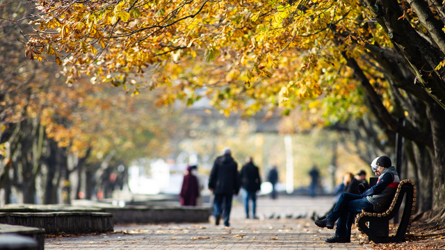 Синоптик рассказал, когда в Калининграде похолодает
