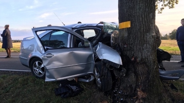 Очевидцы: в Багратионовском районе легковушка врезалась в дерево, есть пострадавшие 