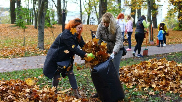 Очистить форт и замок: в Калининградской области пройдут субботник и воскресник 