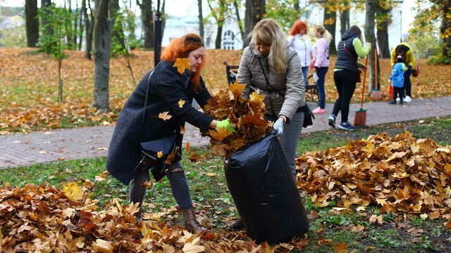 Кирха Рудау и замок Рагнит: где в Калининградской области пройдут субботник и воскресник