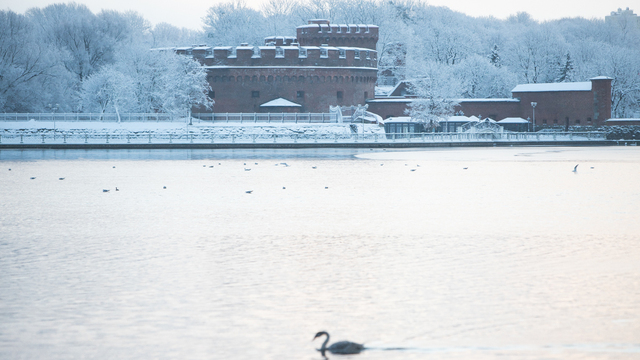 Синоптик рассказала о погоде в Калининграде в новогоднюю ночь