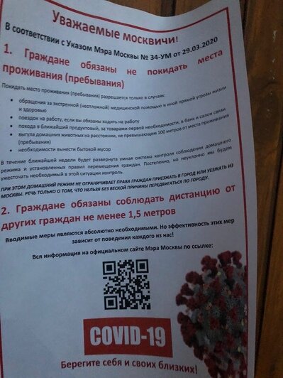 "Ощущение полного хаоса": живущие в Москве калининградцы — о режиме самоизоляции (фото) - Новости Калининграда | Фото из личного архива калининградок