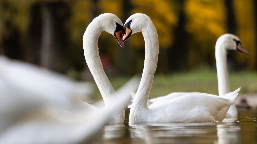 Синоптики рассказали о погоде в Калининграде на первые выходные апреля - Новости Калининграда | Архив "Клопс"