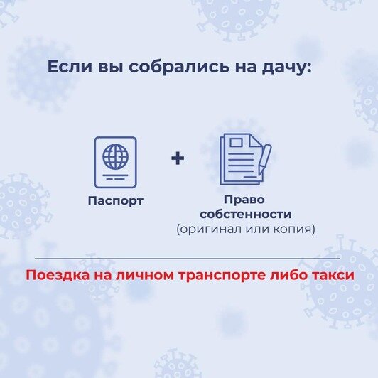 Правительство области разработало памятки для калининградцев в самоизоляции - Новости Калининграда | Фото: пресс-служба регионального правительства