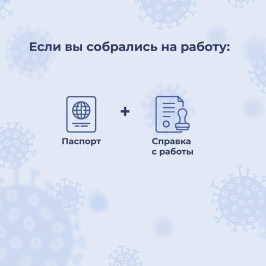 Правительство области разработало памятки для калининградцев в самоизоляции - Новости Калининграда | Фото: пресс-служба регионального правительства