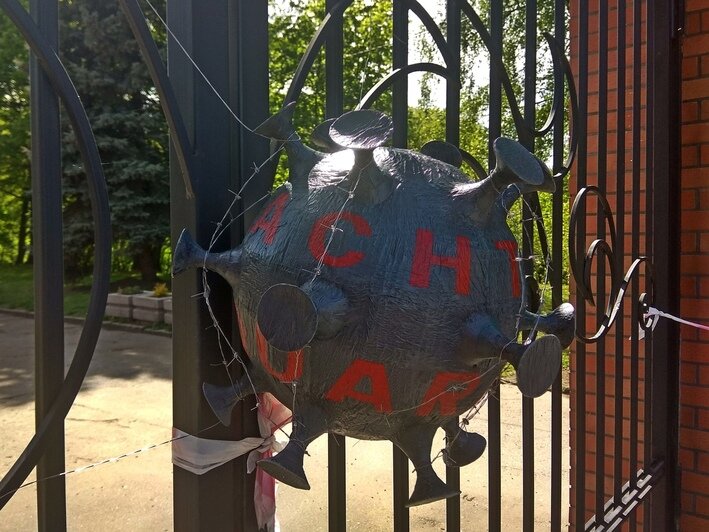 В калининградских парках появились чёрные "коронамины" из картона (фото) - Новости Калининграда | Фото: автор мин