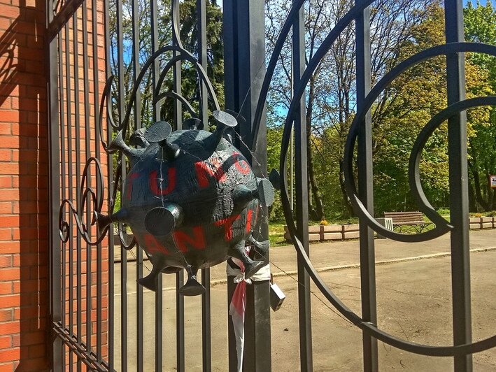В калининградских парках появились чёрные "коронамины" из картона (фото) - Новости Калининграда | Фото: автор мин