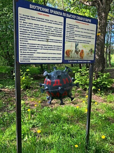 В калининградских парках появились чёрные "коронамины" из картона (фото) - Новости Калининграда | Фото: автор мин