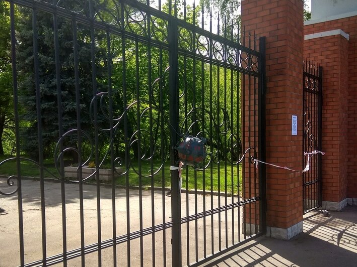 В калининградских парках появились чёрные "коронамины" из картона (фото) - Новости Калининграда | Фото: автор мин