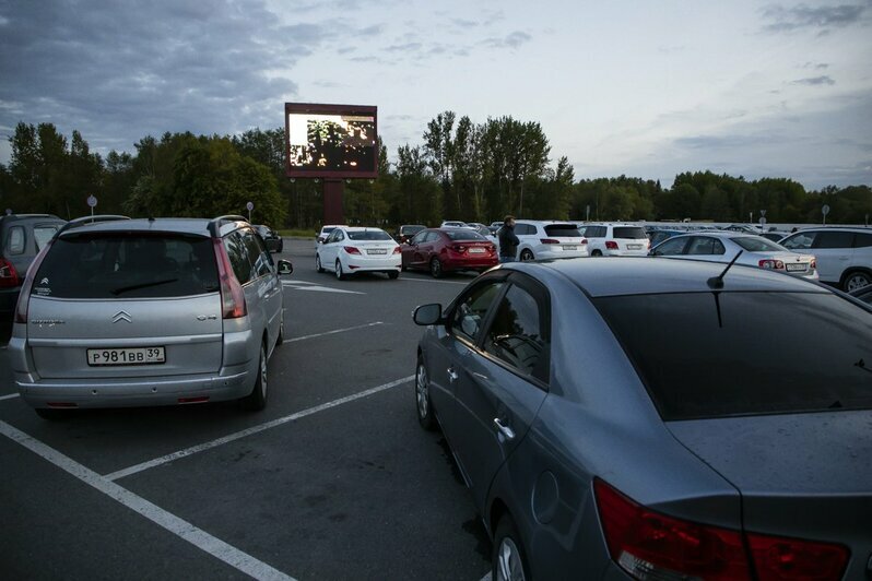 В аэропорту "Храброво" заработал второй в регионе кинотеатр под открытым небом (фото)   - Новости Калининграда | Фото: Александр Подгорчук / &quot;Клопс&quot;