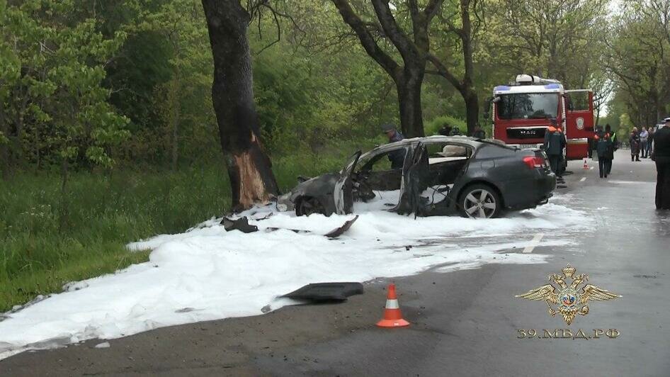 Водитель Lexus бросился в лес: стали известны подробности аварии с двумя погибшими на балтийской трассе (фото, видео) - Новости Калининграда | Фото: пресс-служба регионального УМВД