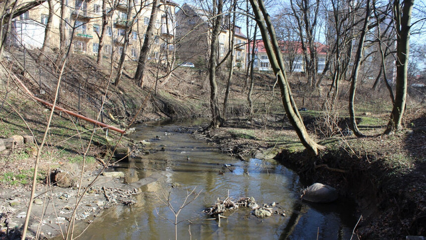 В Калининграде началось благоустройство участка в районе улиц Руставели, Брамса и Носова - Новости Калининграда | Фото: сайт Калининградского зоопарка