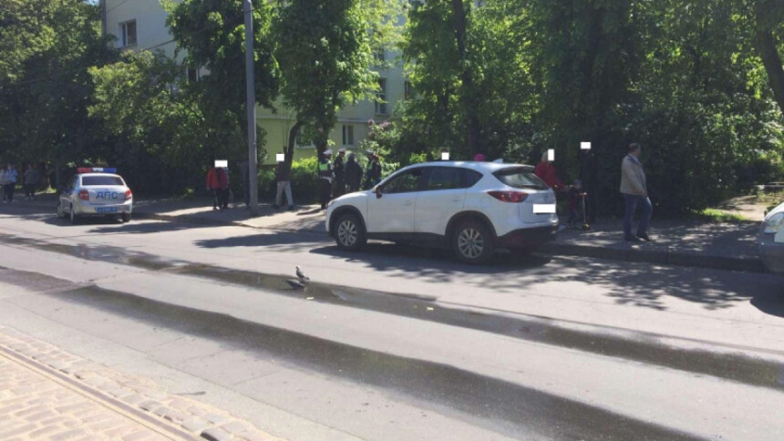 Во дворе на Багратиона насмерть сбили 92-летнюю пенсионерку - Новости Калининграда | Фото: пресс-служба регионального УМВД
