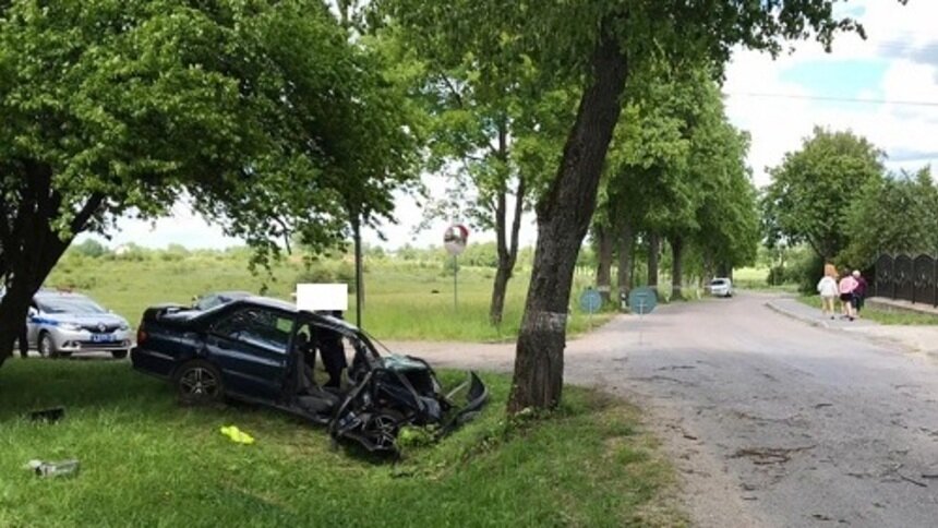 Под Гурьевском водитель и 18-летняя пассажирка пострадали при столкновении с деревом - Новости Калининграда | Фото: пресс-служба УМВД России по Калининградской области