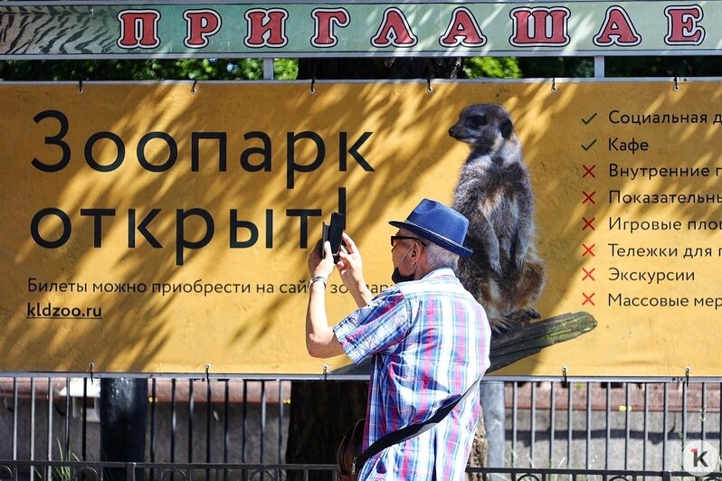 Калининградский зоопарк принял первых посетителей после карантина (фоторепортаж) - Новости Калининграда | Фото: Александр Подгорчук / &quot;Клопс&quot;