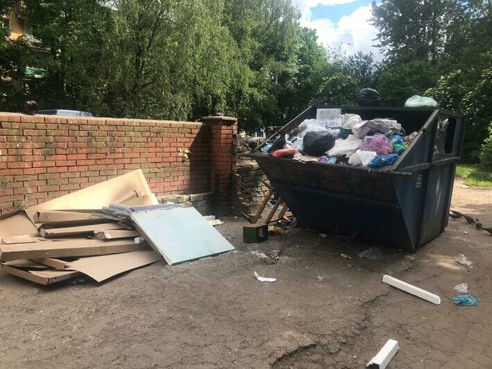 Жители дома в центре Калининграда жалуются на горы мусора во дворе (видео) - Новости Калининграда | Фото: ЕСОО