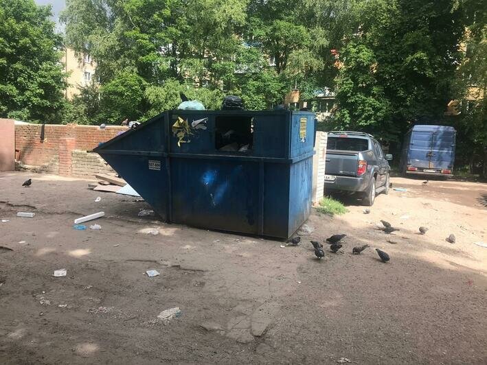 Жители дома в центре Калининграда жалуются на горы мусора во дворе (видео) - Новости Калининграда | Фото: ЕСОО