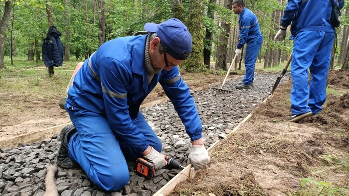 Велодорожки, зоны отдыха и аромат сосен: началось благоустройство парка вокруг &quot;АВТОТОР-Арены&quot; - Новости Калининграда