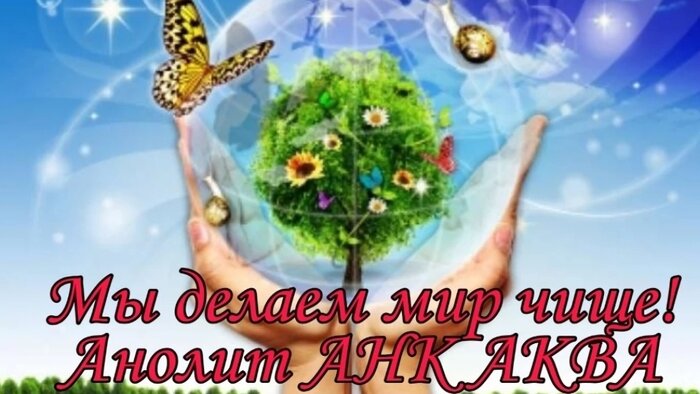 &quot;Анолит АНК АКВА&quot;: дезинфекция без вреда для здоровья — это реально - Новости Калининграда