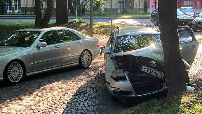 На Каштановой аллее в Калининграде Volkswagen врезался в дерево (фото)  - Новости Калининграда | Фото: читатель &quot;Клопс&quot;