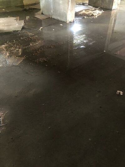 В Калининграде из-за ливня затопило несколько улиц (фото, видео) - Новости Калининграда | Фото: очевидец