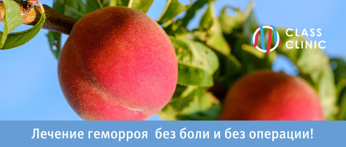 Мало кто знает, но перед планированием беременности нужно обратиться к проктологу - Новости Калининграда