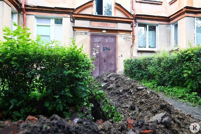 В Центральном районе при прокладке кабеля уничтожили клумбы и оставили ямы у домов (фото)  - Новости Калининграда | Фото: Константин Сериков