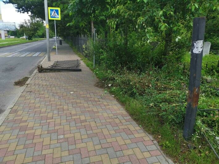На старом кладбище Калининграда неизвестные снесли ограду и повредили несколько могил - Новости Калининграда | Фото: пресс-служба городской администрации